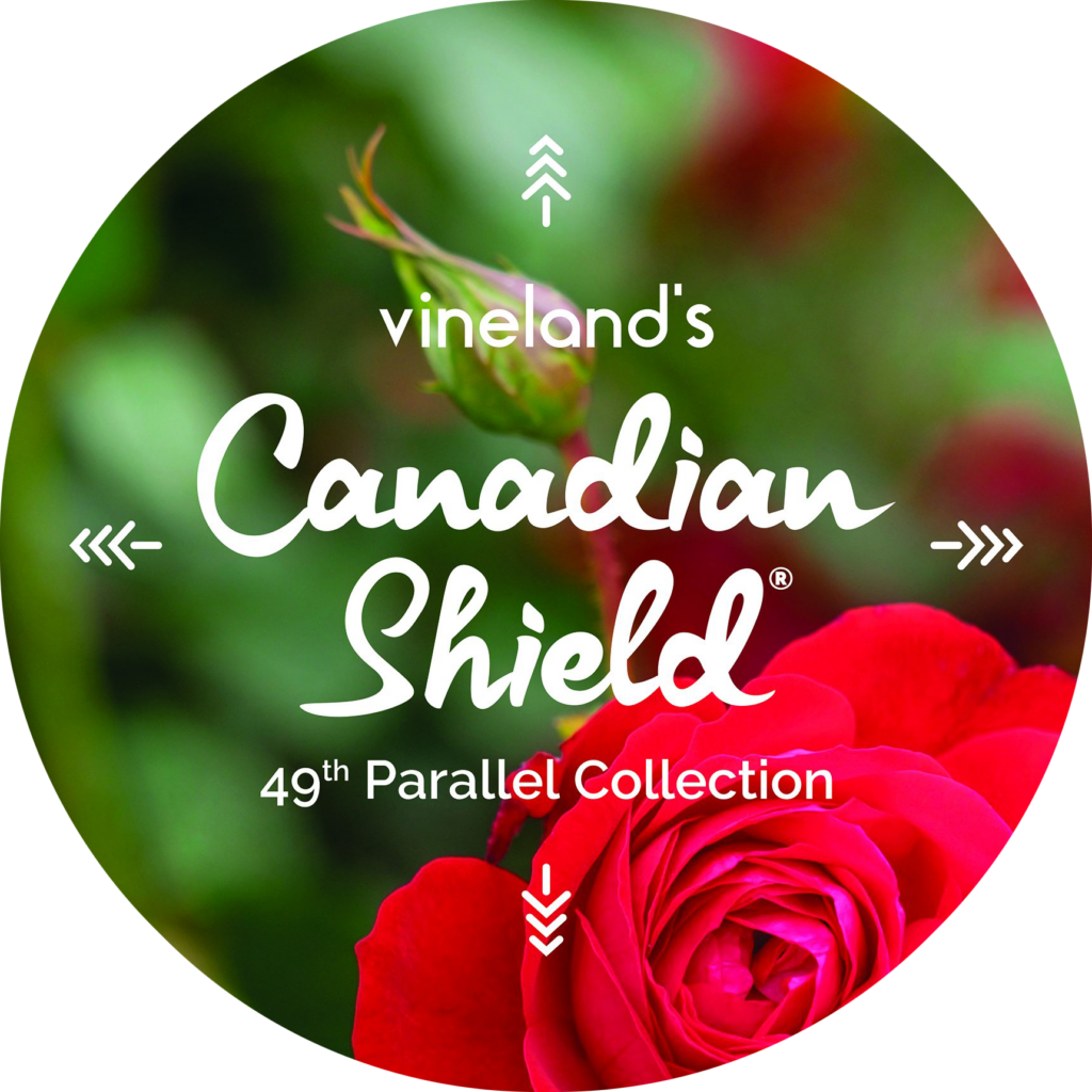 Canadian Shield® Vineland’s 49th Parallel Collection